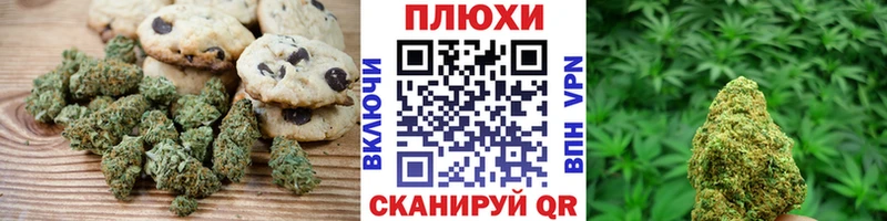 Canna-Cookies конопля Михайлов
