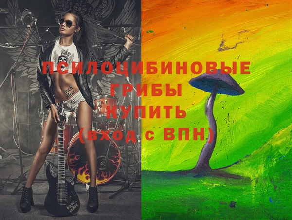 apvp Балахна